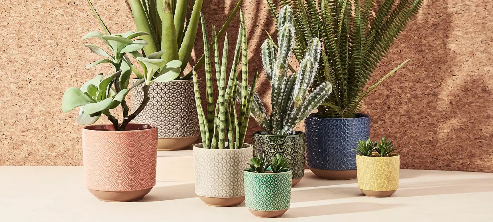 Oliver Bonas Case Study