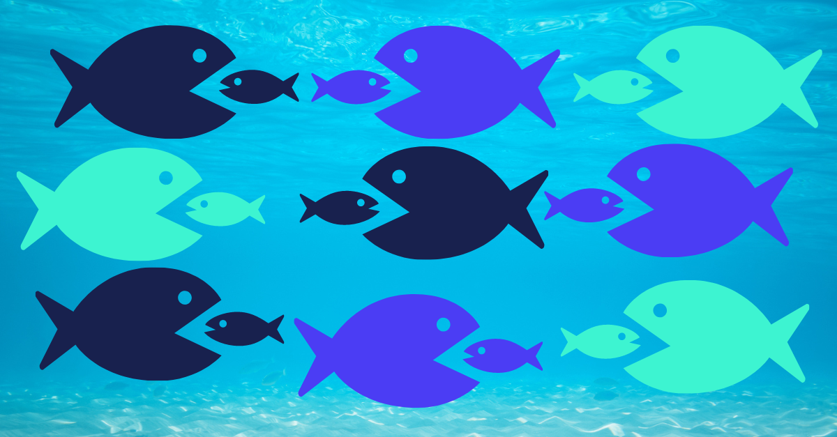 Does Amazon cannibalise or boost your sales on other sites?