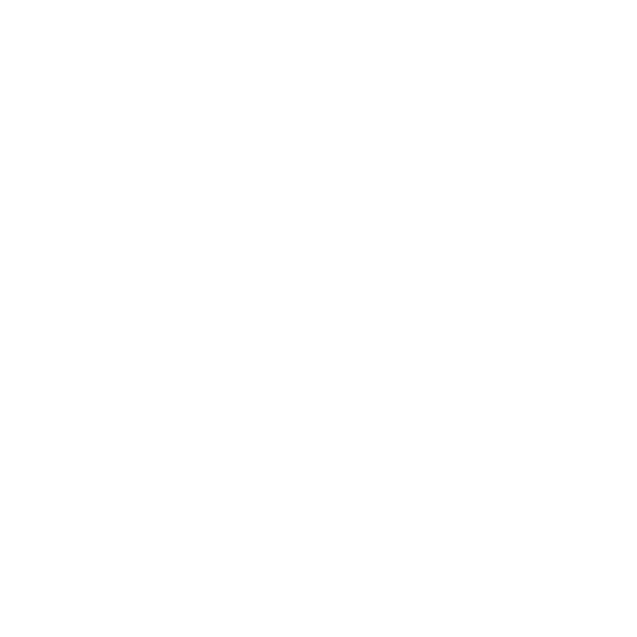 White Stuff Logo